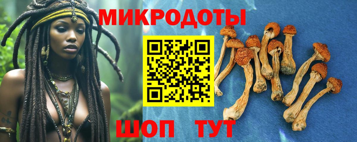 Галлюциногенные грибы прущие грибы Лысьва